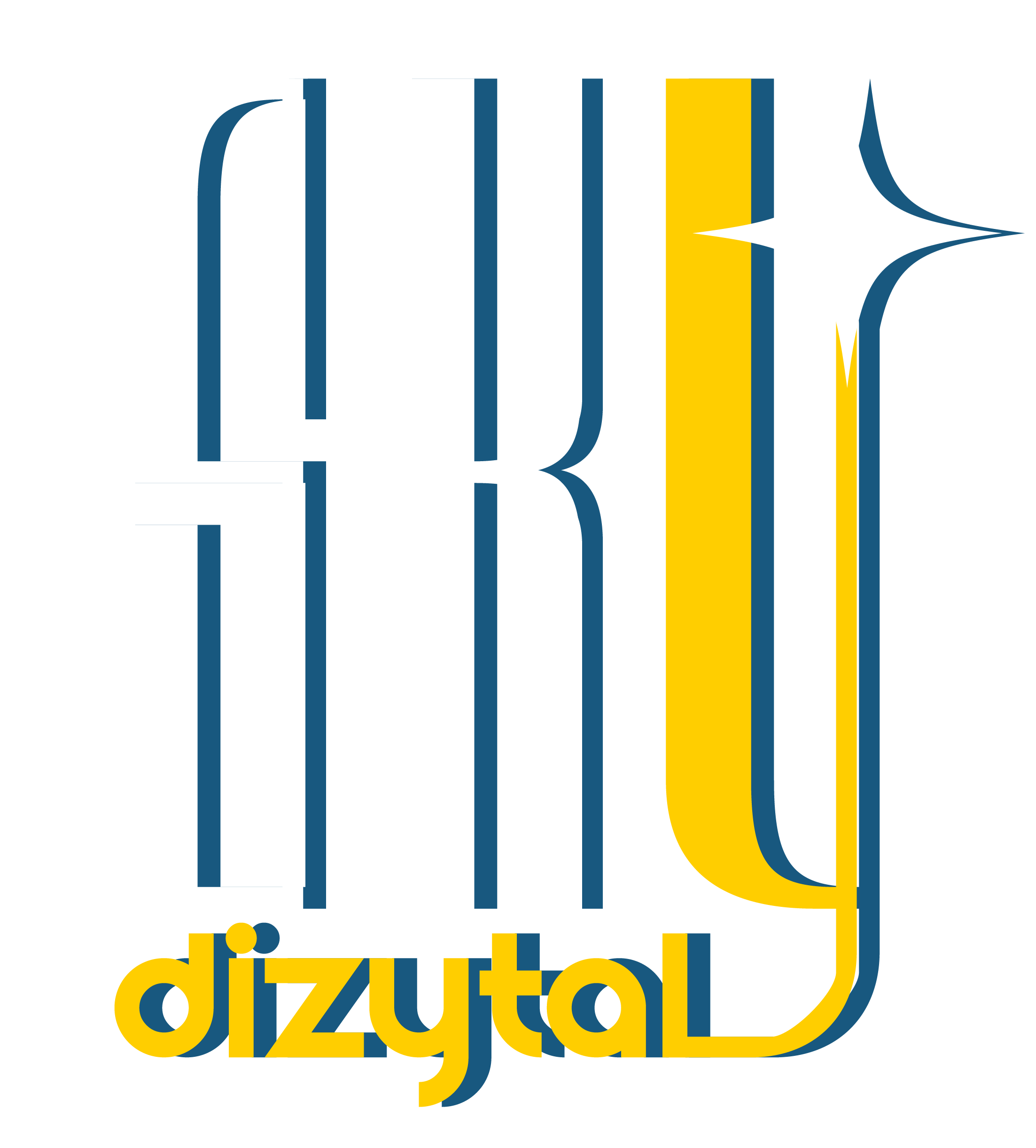 Sky Dizytal Logo